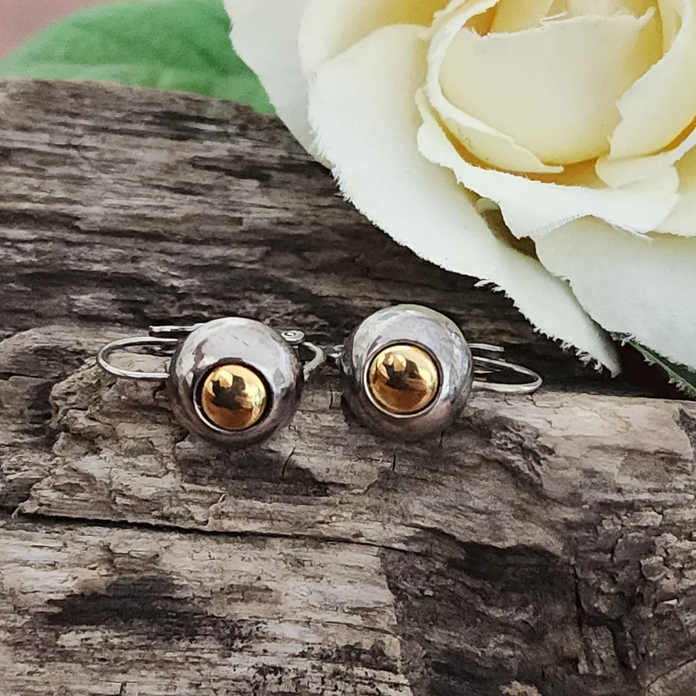 Two Toned Silver Toned and Gold Toned Circle Lever Back Earrings